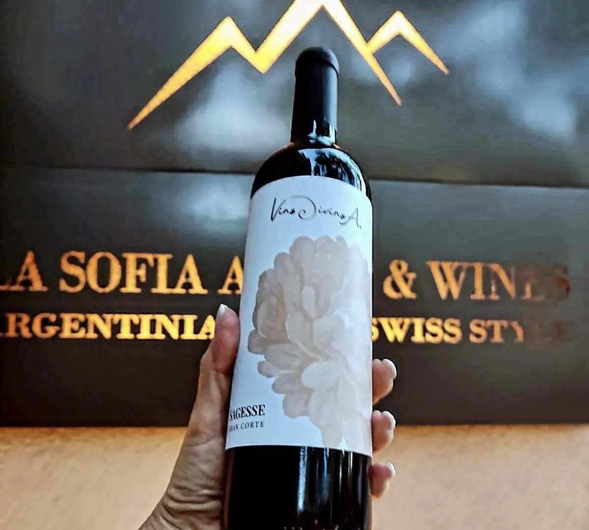 La Sofia Apart & Wines Mendoza Argentina
